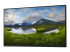 Dell P2425H - LED-skärm - Höger vinkel